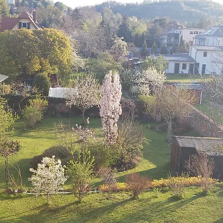 Villa Tini Radebeul Exterior photo