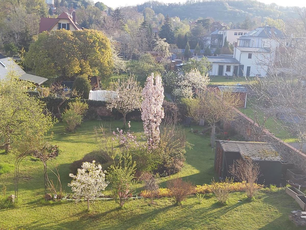 Apartment Tini Radebeul