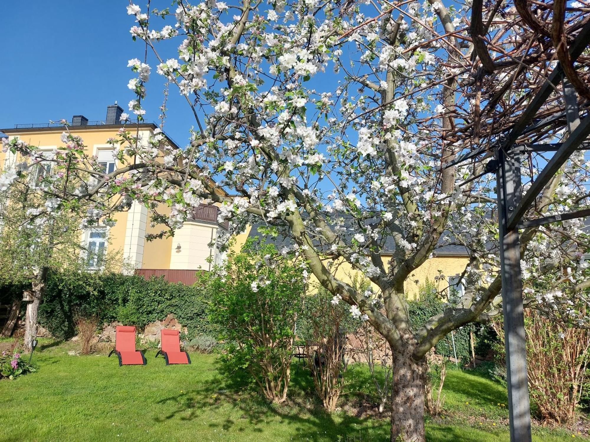 Tini Apartamento Radebeul